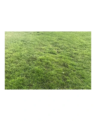 Automower® Hybrid Grass (1m) Automower® Hybrid Grass (1m)