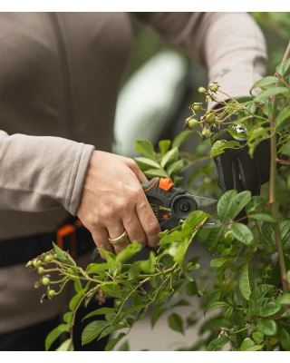 Husqvarna Medium Secateurs