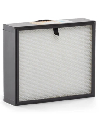 Husqvarna H13 Essential HEPA Filter (A25)
