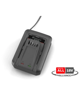 Aspire™ C100 18V P4A Battery Charger (100W)