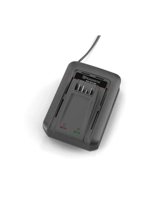 Aspire™ C100 18V P4A Battery Charger (100W)